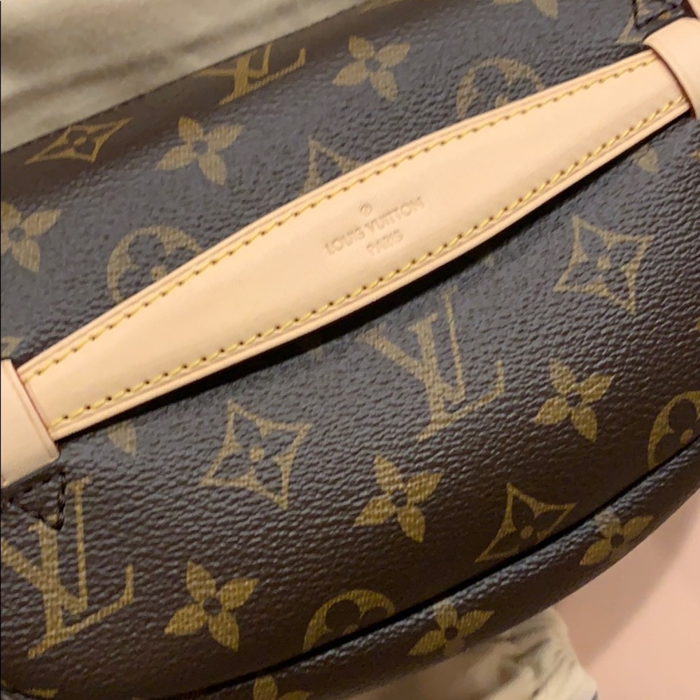Brand New Louis Vuitton Bumbag - Picture 4 of 6